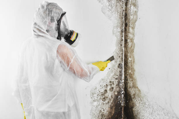 Crawl Space Mold Removal in Robstown, TX