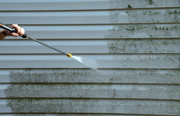 Mold Removal Process in Robstown, TX