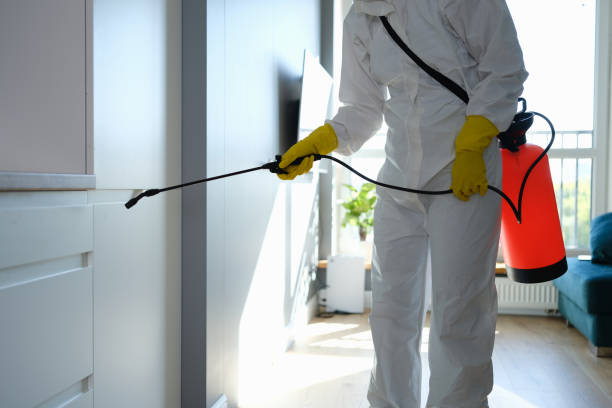 Best Professional Mold Removal  in Robstown, TX