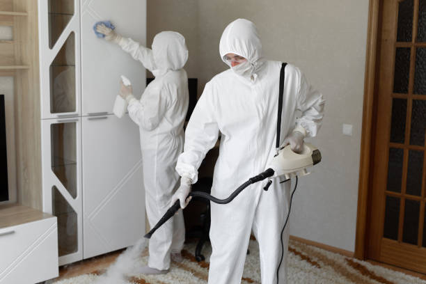 Professional Mold Removal in Robstown, TX